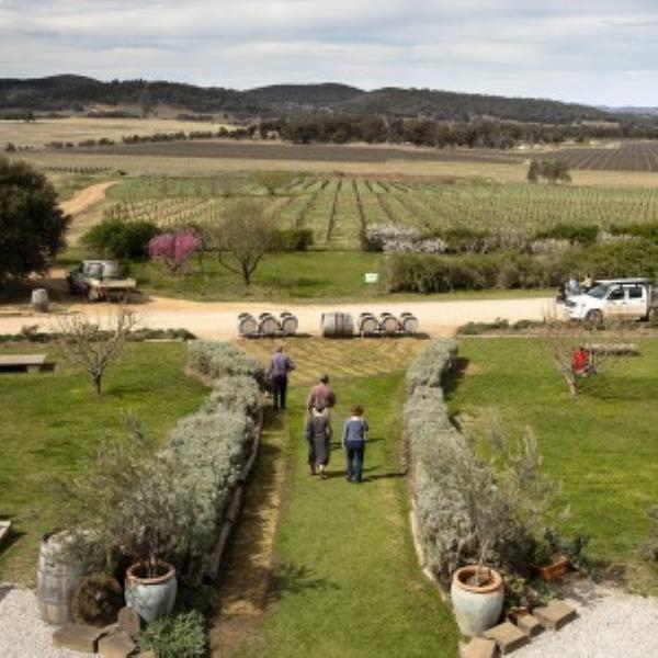 Visitors enjoying a walk through the scenic grounds at Lowe Wines, Mudgee.